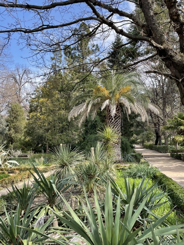 Botanische tuin Madrid